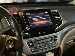 هوندا رجلاین